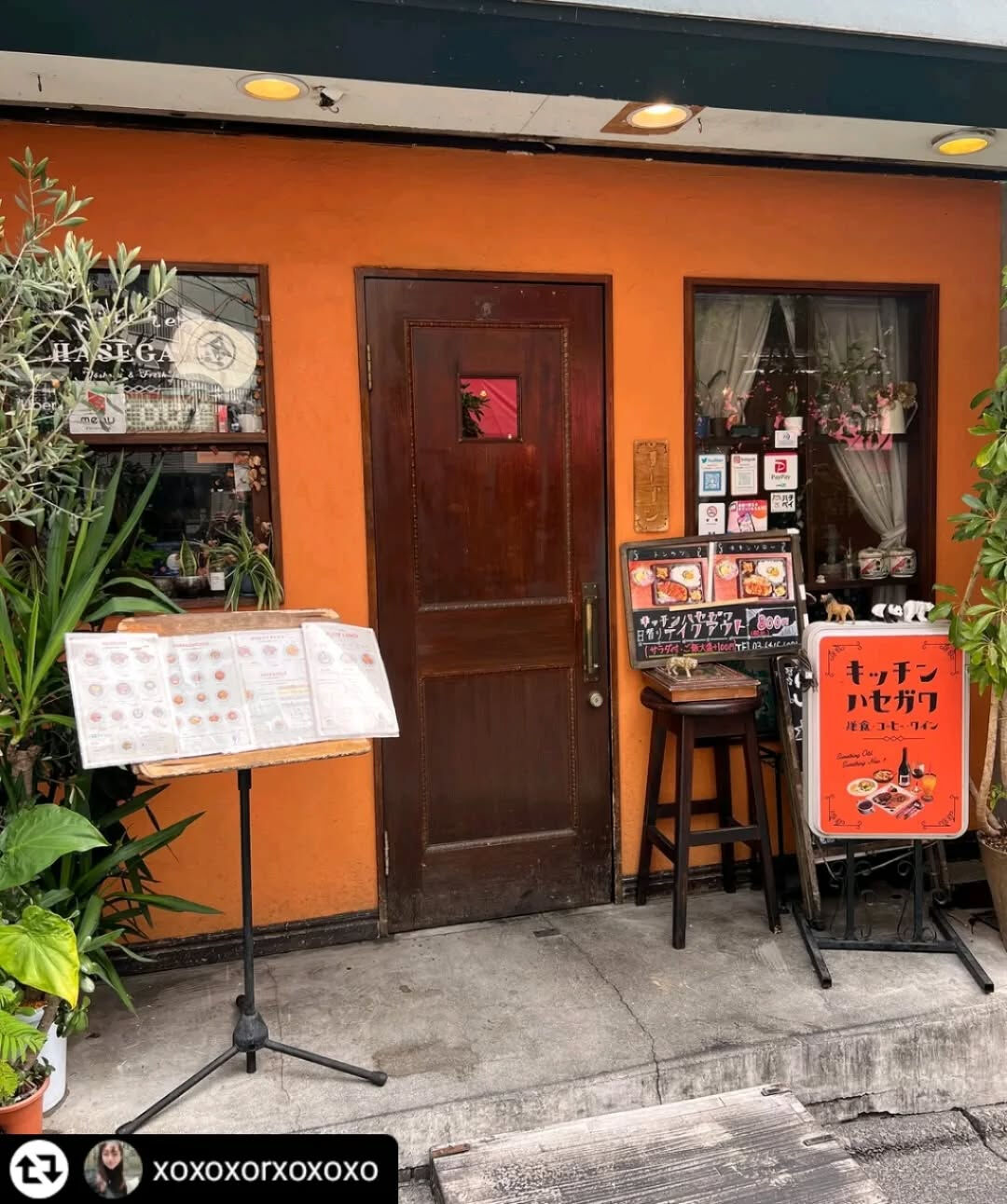 ご紹介いただき誠にありがとうございます✨