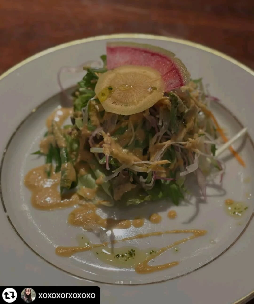 ご紹介いただき誠にありがとうございます✨